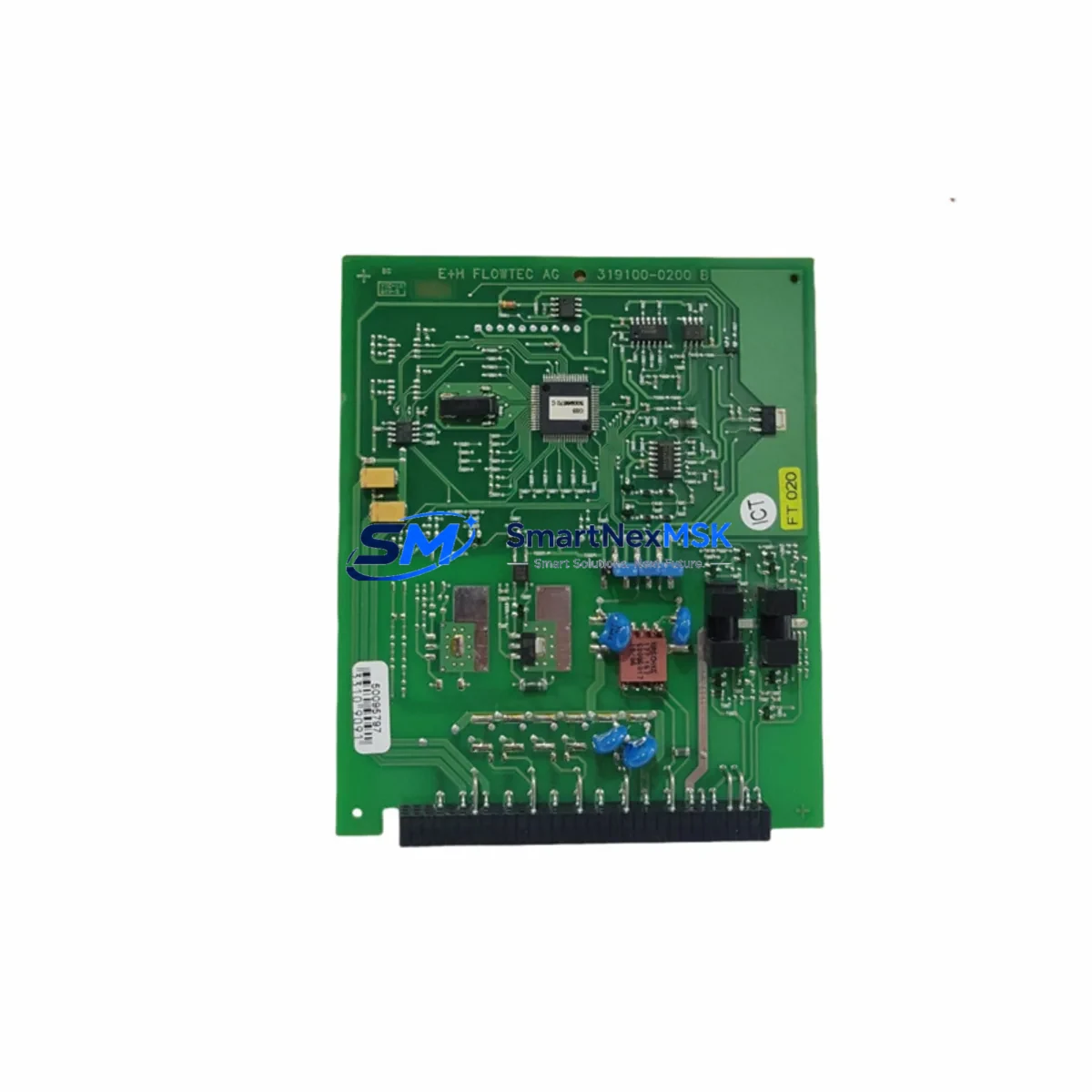 E+H 319100-0200B PC Board