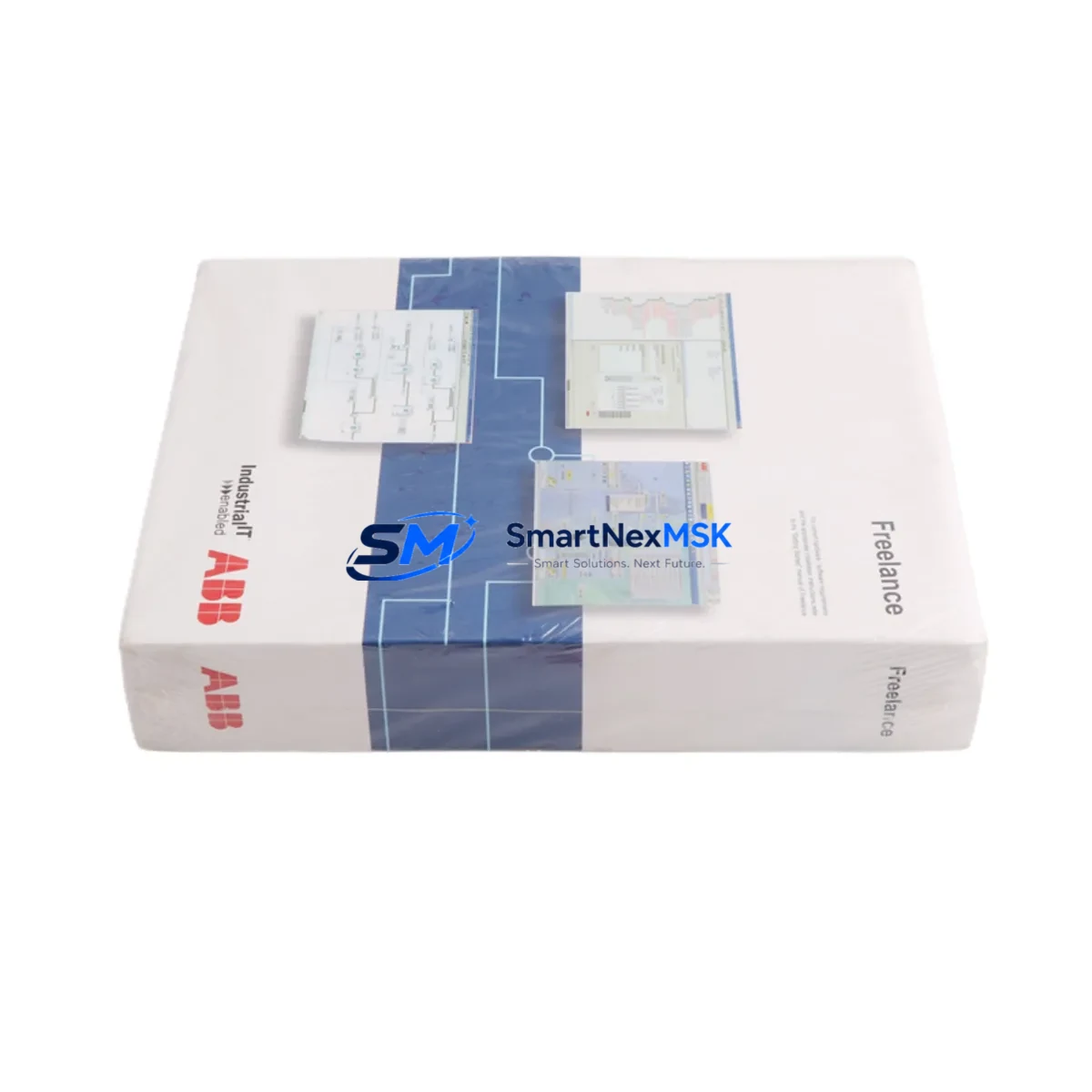 ABB 3BDS008790R091 Network Interface Slave Module image 2