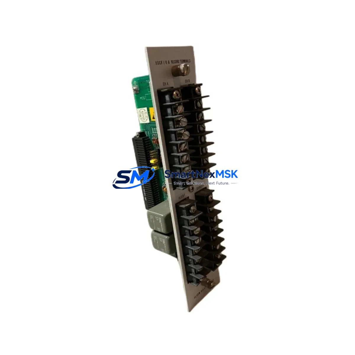 BENTLY NEVADA | 81546-01 | Relay Outputs image 2