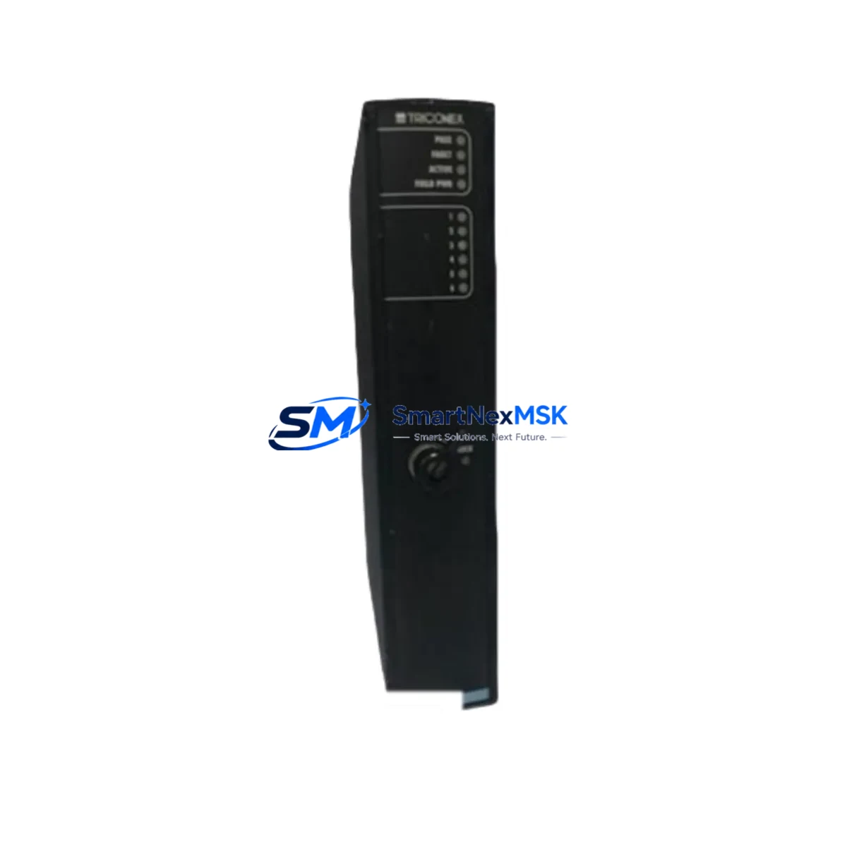 Triconex PI3381 DCS MODULE image 2