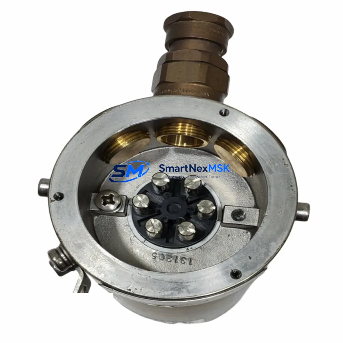 BENTLY NEVADA SCOUT100-EX Vibration Data Collector image 2