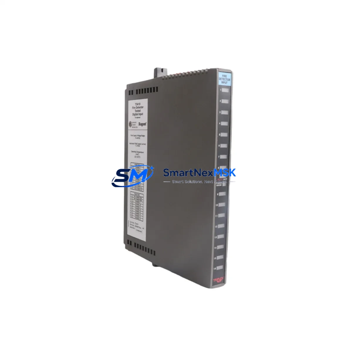 ICS TRIPLEX | T3419 | Digital Input