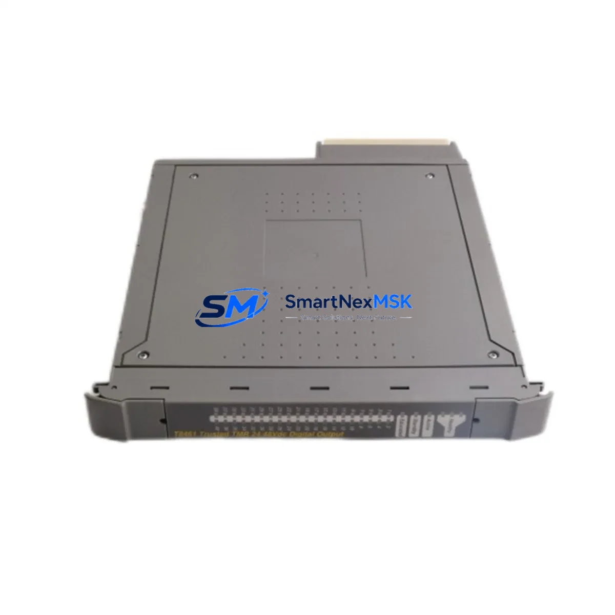 ICS TRIPLEX | T8461 | TrustedTM TMR 24/48V dc Digital Output