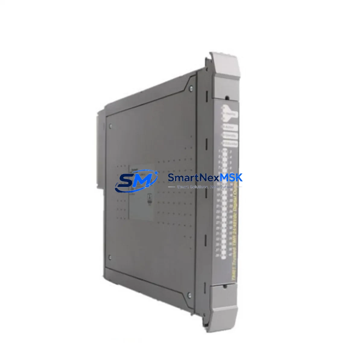 ICS TRIPLEX | T8461 | TrustedTM TMR 24/48V dc Digital Output image 2